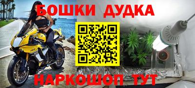 прущие крисы Кинель